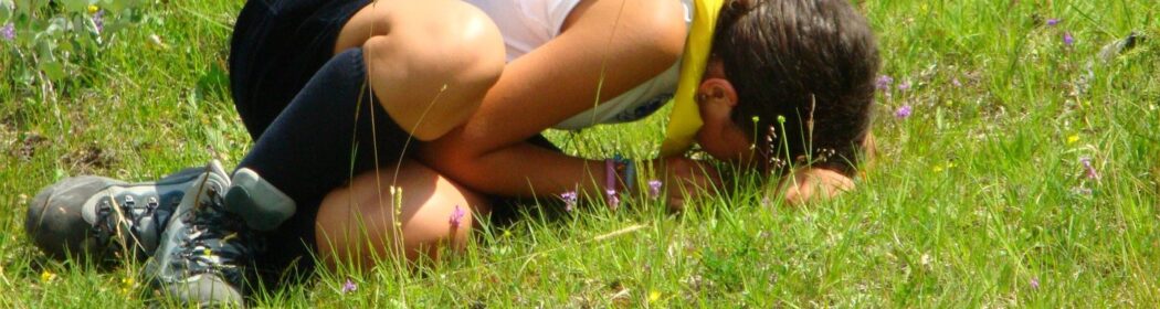 Stage per capi “Scout GreenComp” | Ca’ Forneletti 31 maggio -1 giugno 2025